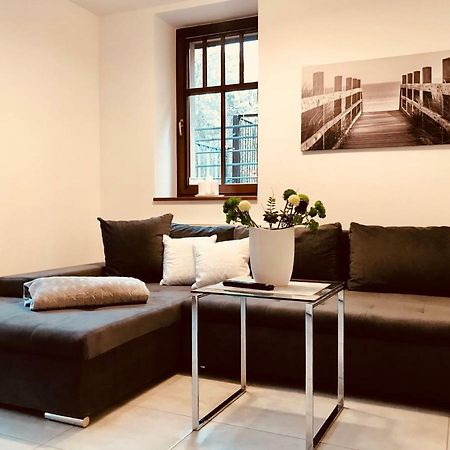 Apartamenty Aleksandry Apartament Przy Parku 斯维诺乌伊希切 外观 照片
