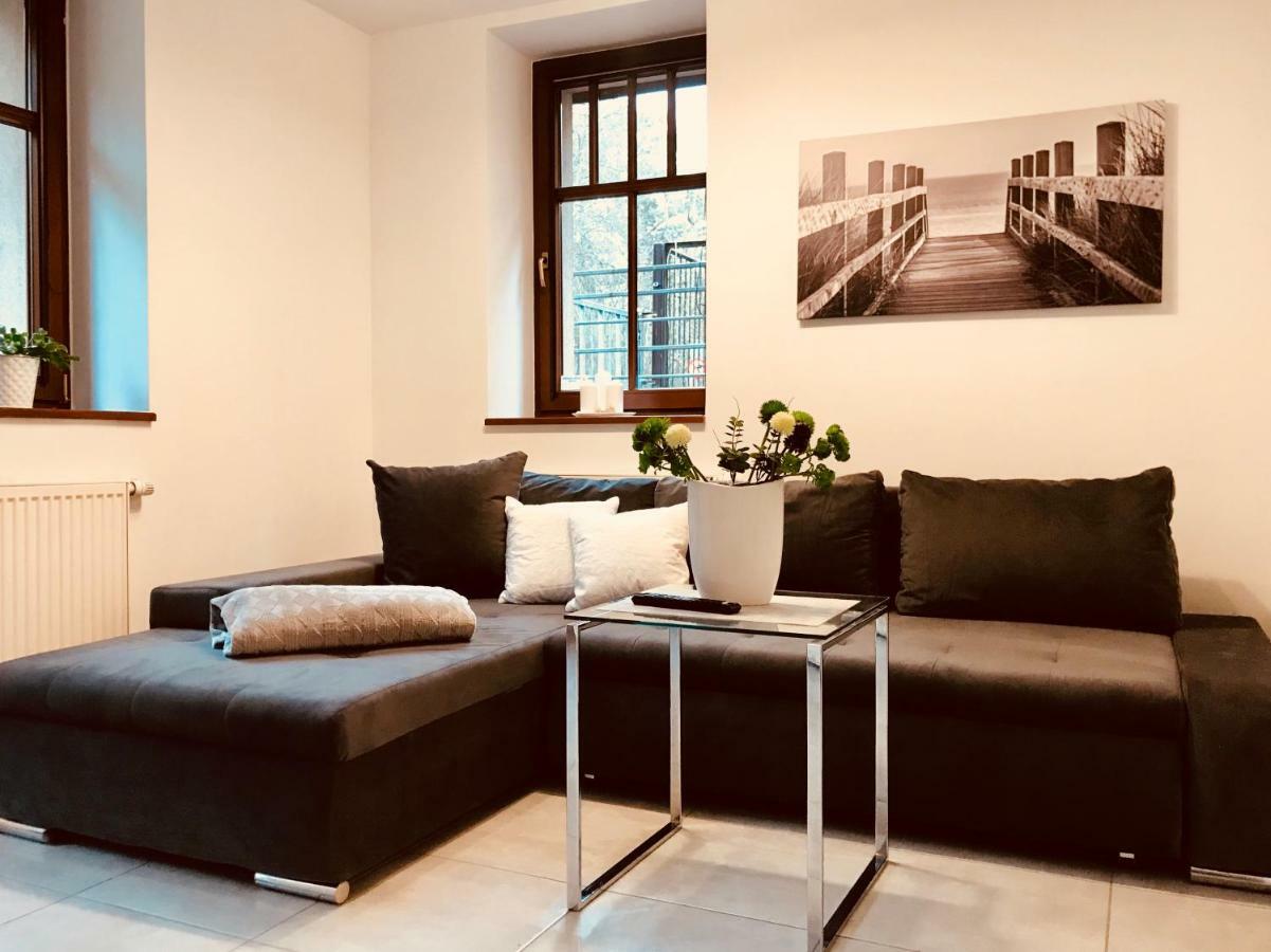 Apartamenty Aleksandry Apartament Przy Parku 斯维诺乌伊希切 外观 照片